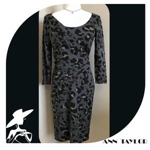 NWT🌟Dress ANN TAYLOR SZ XS